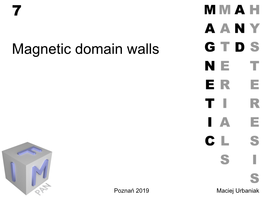 7 Magnetic Domain Walls