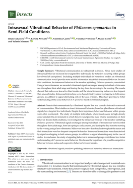 Intrasexual Vibrational Behavior of Philaenus Spumarius in Semi-Field Conditions