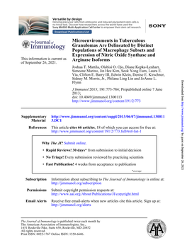 Arginase Isoforms Expression of Nitric Oxide Synthase and Populations Of