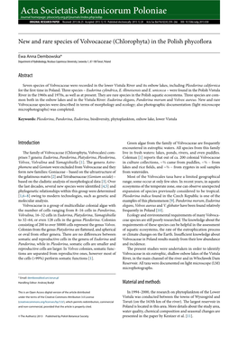 New and Rare Species of Volvocaceae (Chlorophyta) in the Polish Phycoflora