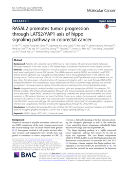 RASAL2 Promotes Tumor Progression Through LATS2/YAP1 Axis of Hippo