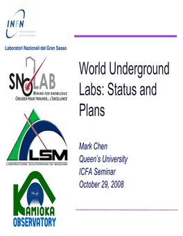 World Underground Labs: Status and Plans