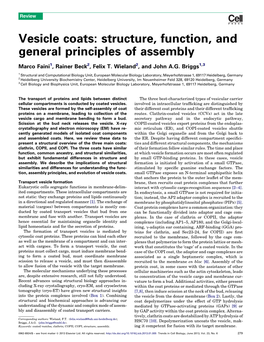 Vesicle Coats: Structure, Function, And
