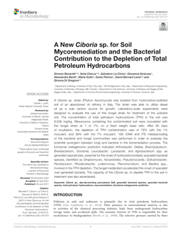 A New Ciboria Sp. for Soil Mycoremediation and the Bacterial Contribution to the Depletion of Total Petroleum Hydrocarbons