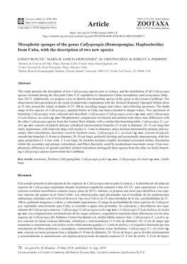 Mesophotic Sponges of the Genus Callyspongia (Demospongiae, Haplosclerida) from Cuba, with the Description of Two New Species