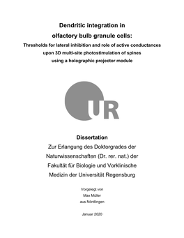 Dendritic Integration in Olfactory Bulb Granule Cells