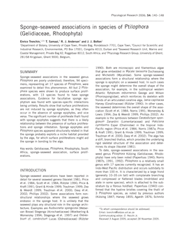 Sponge–Seaweed Associations in Species of Ptilophorae