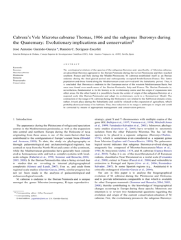 Cabrera's Vole Microtus Cabrerae