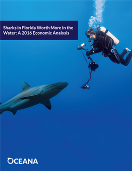 Sharks in Florida Worth More in the Water: a 2016 Economic Analysis