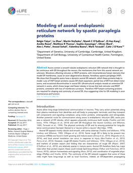 Modeling of Axonal Endoplasmic Reticulum Network by Spastic