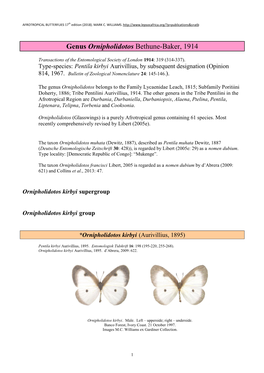 291 Genus Ornipholidotos Bethune-Baker