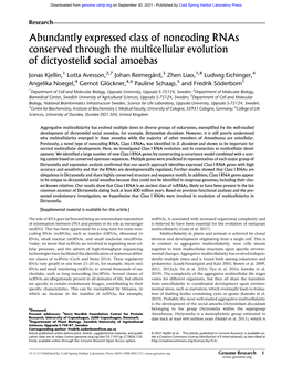 Abundantly Expressed Class of Noncoding Rnas Conserved Through the Multicellular Evolution of Dictyostelid Social Amoebas