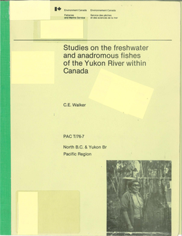 Studies on the Freshwater and Anadromous Fishes of the Yukon River Within Canada