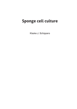 Sponge Cell Culture