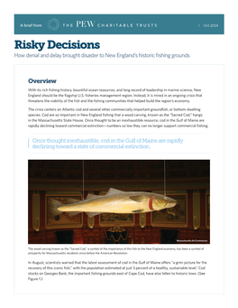 Risky Decisions Brief