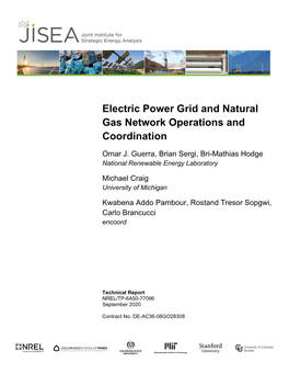 Electric Power Grid and Natural Gas Network Operations and Coordination