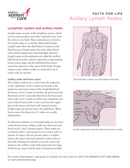 Axillary Lymph Nodes