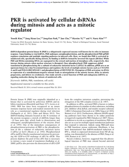 PKR Is Activated by Cellular Dsrnas During Mitosis and Acts As a Mitotic Regulator