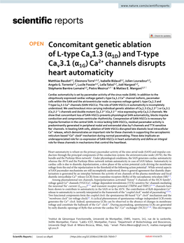 And T-Type Cav3.1 (Α1g) Ca2+ Channels Disrupts Heart Automaticity