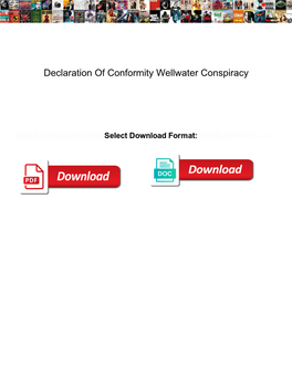 Declaration of Conformity Wellwater Conspiracy