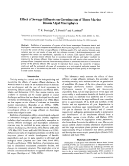 Effect of Sewage Effluents on Germination of Three Marine Brown Algal Macrophytes