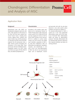 Chondrogenic Differentiation and Analysis of MSC