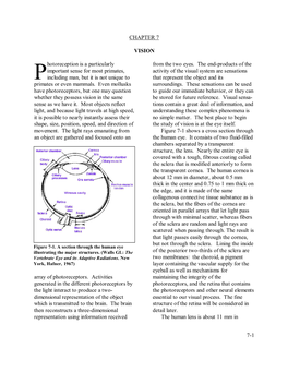 7-1 CHAPTER 7 VISION Hotoreception Is a Particularly Important Sense for Most Primates, Including Man, but It Is Not Unique to P