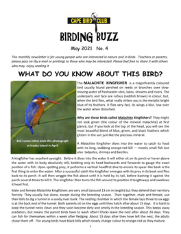 BIRDING BUZZ May 2021 No