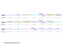 Supplementary Figure S1 +