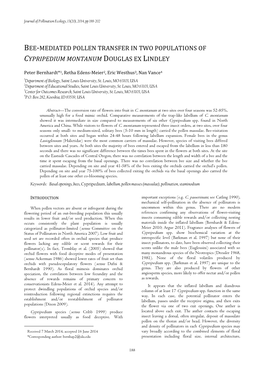 Bee-Mediated Pollen Transfer in Two Populations of Cypripedium Montanum Douglas Ex Lindley