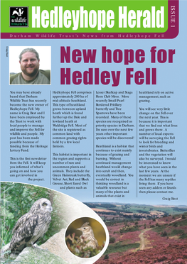 Hedleyhope News2