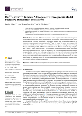 Scrib-/- Tumors: a Cooperative Oncogenesis Model Fueled