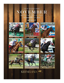 NOVEMBER SALES GRADUATES — Graded Stakes Winners Sold As Horses of Racing Age 2007–2018 2019 Stakes Winners Through Nov