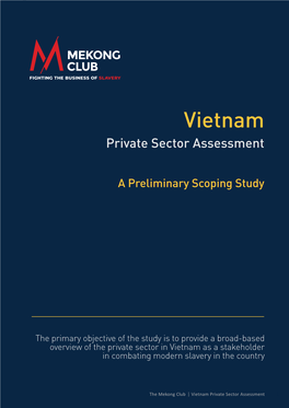 Vietnam Private Sector Assessment