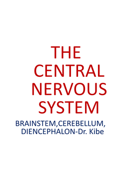 BRAINSTEM,CEREBELLUM, DIENCEPHALON-Dr. Kibe INTRODUCTION the Brain Is One of the Largest Organs in Adults