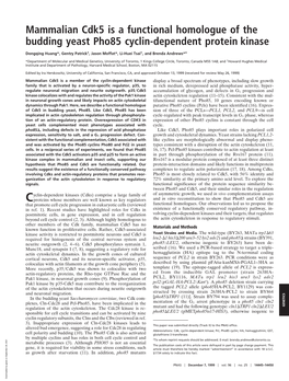 Mammalian Cdk5 Is a Functional Homologue of the Budding Yeast Pho85 Cyclin-Dependent Protein Kinase