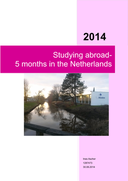 Studying Abroad- 5 Months in the Netherlands