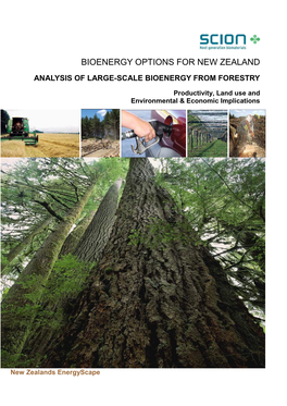 Bioenergy Options for New Zealand