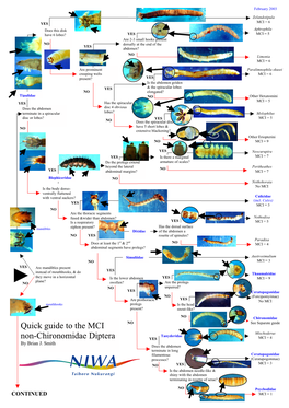 Quick Guide to the MCI Non-Chironomidae Diptera