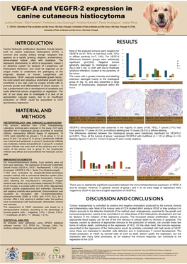 VEGF-A and VEGFR-2 Expression in Canine Cutaneous Histiocytoma