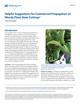 Helpful Suggestions for Commercial Propagation of Woody Plant Stem Cuttings1 Thomas Yeager2