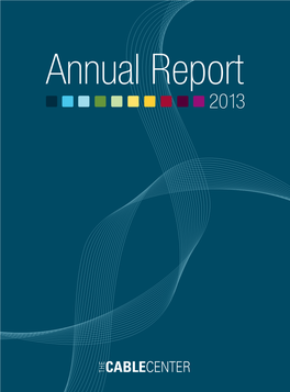 Annual-Report-2013.Pdf