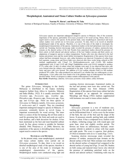 Morphological, Anatomical and Tissue Culture Studies on Xylocarpus Granatum