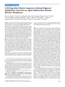 Cell-Deposited Matrix Improves Retinal Pigment Epithelium Survival on Aged Submacular Human Bruch’S Membrane