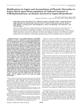 Modifications in Lignin and Accumulation of Phenolic