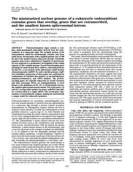 The Miniaturized Nuclear Genome of a Eukaryotic Endosymbiont Contains