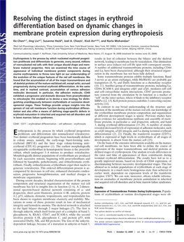 Resolving the Distinct Stages in Erythroid Differentiation Based on Dynamic Changes in Membrane Protein Expression During Erythropoiesis