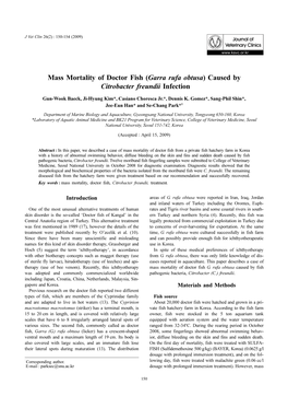 Mass Mortality of Doctor Fish (Garra Rufa Obtusa) Caused by Citrobacter Freundii Infection