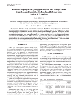 Molecular Phylogeny of Agrioglypta Meyrick and Talanga Moore (Lepidoptera: Crambidae; Spilomelinae) Inferred from Nuclear EF-1Α Gene