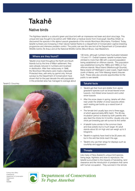 Takahe Will Often Nest Under the Shelter of Snow Tussocks Where Each Nesting Pair Builds up a Raised Bowl of Grasses